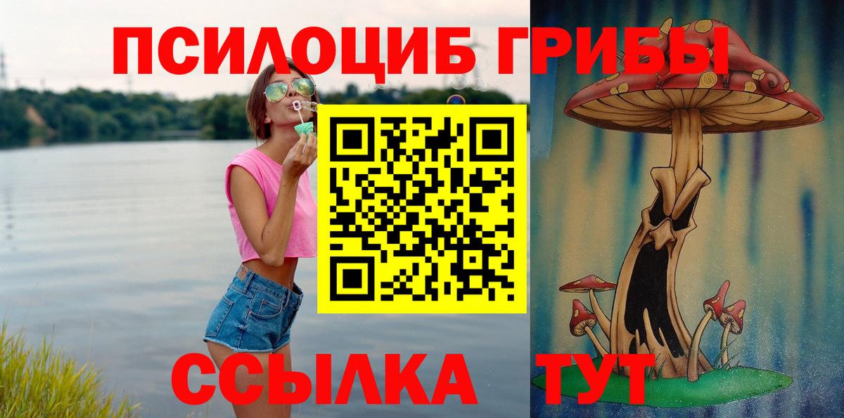Псилоцибиновые грибы Magic Shrooms  Галлюциногенные грибы GOLDEN TEACHER  Вход с VPN  Кстово 